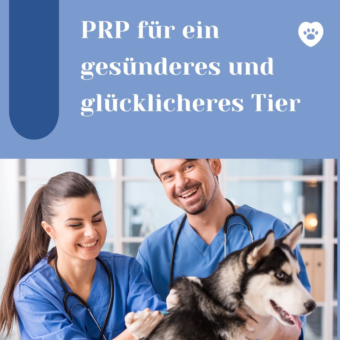 PRP-Röhrchen für Tierarzt und Veterinärmedizin